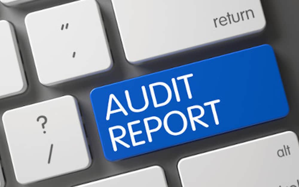 Expanding the net of audit activity