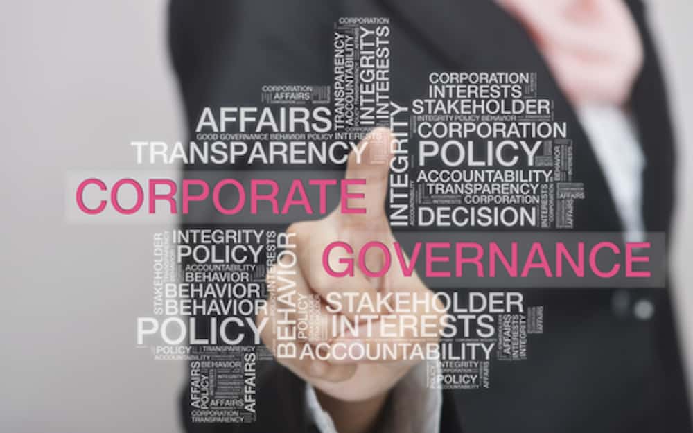Introducing the Corporate Governance Network