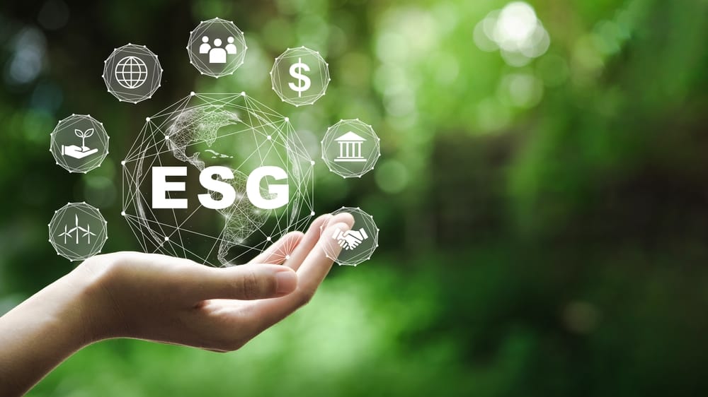 What auditors and accountants need to know about ESG